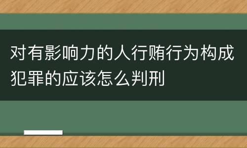 对有影响力的人行贿行为构成犯罪的应该怎么判刑