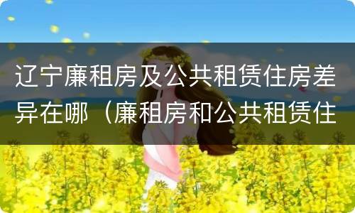 辽宁廉租房及公共租赁住房差异在哪（廉租房和公共租赁住房的区别）