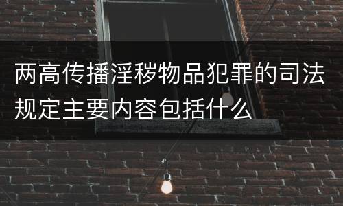 两高传播淫秽物品犯罪的司法规定主要内容包括什么