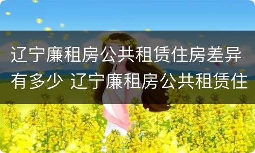辽宁廉租房公共租赁住房差异有多少 辽宁廉租房公共租赁住房差异有多少年