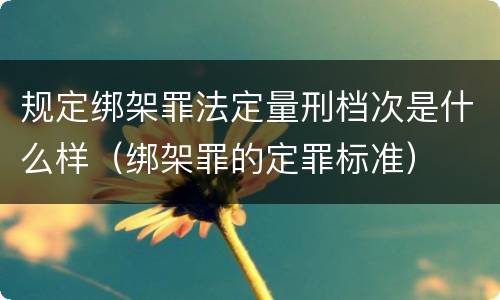 规定绑架罪法定量刑档次是什么样（绑架罪的定罪标准）