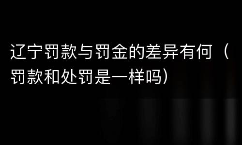 辽宁罚款与罚金的差异有何（罚款和处罚是一样吗）