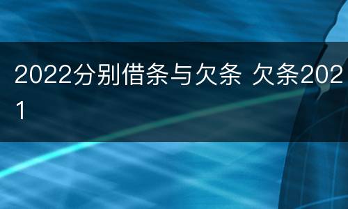 2022分别借条与欠条 欠条2021