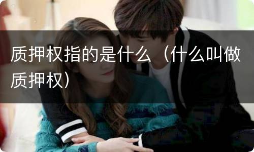 质押权指的是什么（什么叫做质押权）