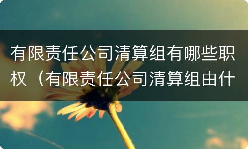 有限责任公司清算组有哪些职权（有限责任公司清算组由什么组成）