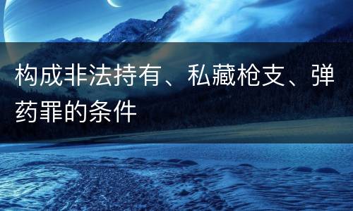 构成非法持有、私藏枪支、弹药罪的条件