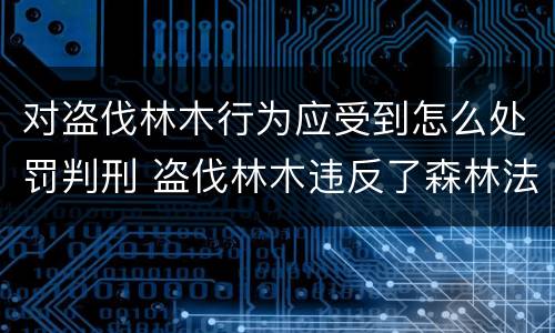 对盗伐林木行为应受到怎么处罚判刑 盗伐林木违反了森林法的哪项规定