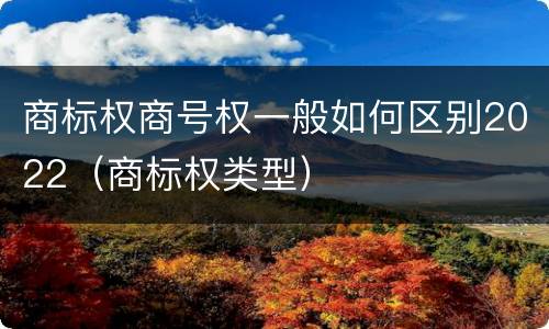 商标权商号权一般如何区别2022（商标权类型）