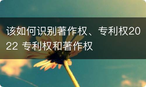 该如何识别著作权、专利权2022 专利权和著作权