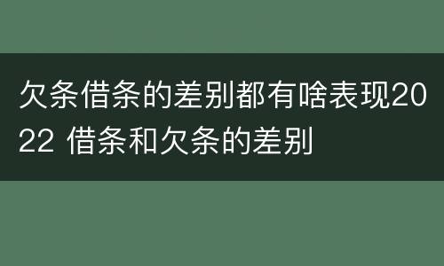欠条借条的差别都有啥表现2022 借条和欠条的差别