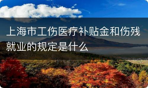 上海市工伤医疗补贴金和伤残就业的规定是什么