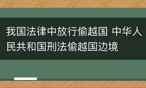 我国法律中放行偷越国 中华人民共和国刑法偷越国边境