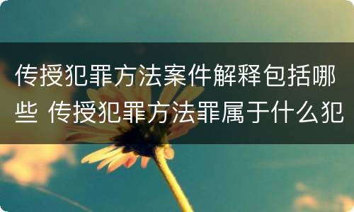 传授犯罪方法案件解释包括哪些 传授犯罪方法罪属于什么犯罪类型