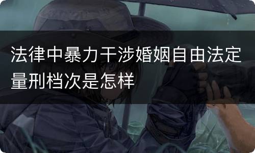 法律中暴力干涉婚姻自由法定量刑档次是怎样