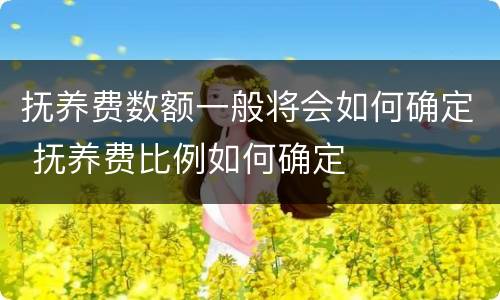 抚养费数额一般将会如何确定 抚养费比例如何确定