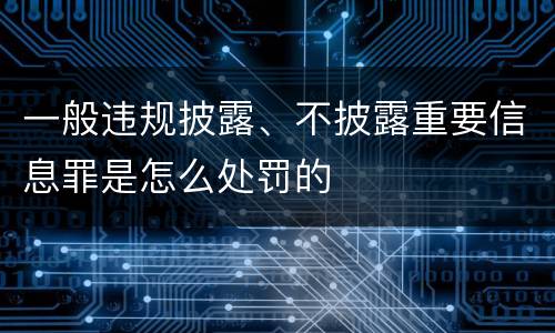 一般违规披露、不披露重要信息罪是怎么处罚的