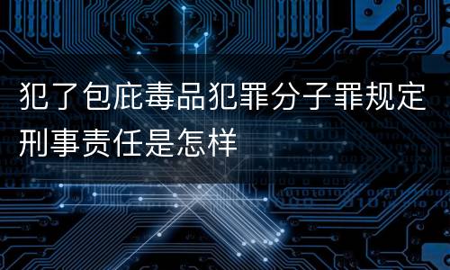 犯了包庇毒品犯罪分子罪规定刑事责任是怎样