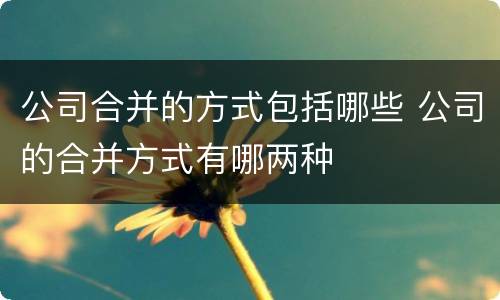 公司合并的方式包括哪些 公司的合并方式有哪两种