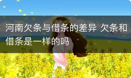 河南欠条与借条的差异 欠条和借条是一样的吗