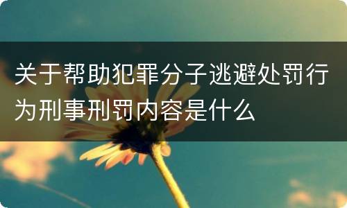 关于帮助犯罪分子逃避处罚行为刑事刑罚内容是什么
