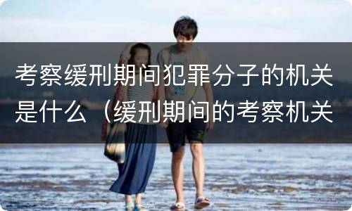 考察缓刑期间犯罪分子的机关是什么（缓刑期间的考察机关是司法机关还是公安机关）