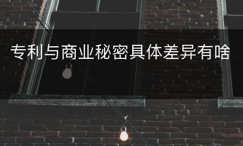 专利与商业秘密具体差异有啥