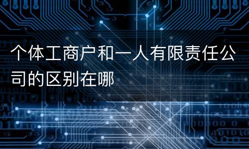 个体工商户和一人有限责任公司的区别在哪