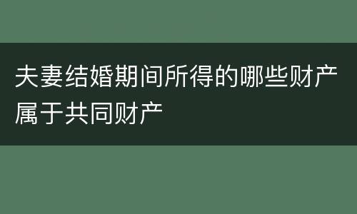 夫妻结婚期间所得的哪些财产属于共同财产