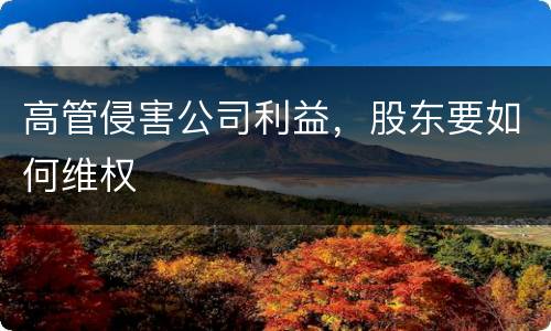 高管侵害公司利益，股东要如何维权