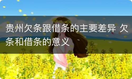 贵州欠条跟借条的主要差异 欠条和借条的意义