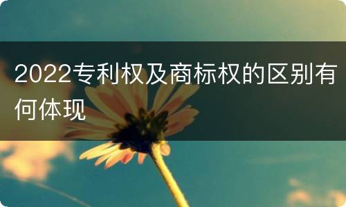 2022专利权及商标权的区别有何体现