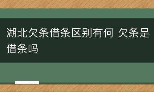 湖北欠条借条区别有何 欠条是借条吗