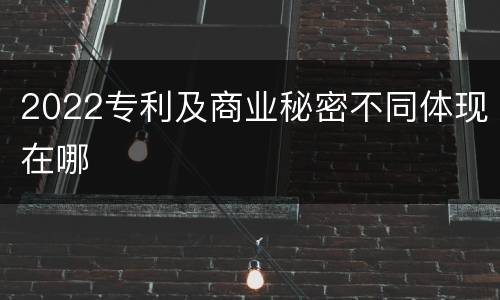 2022专利及商业秘密不同体现在哪