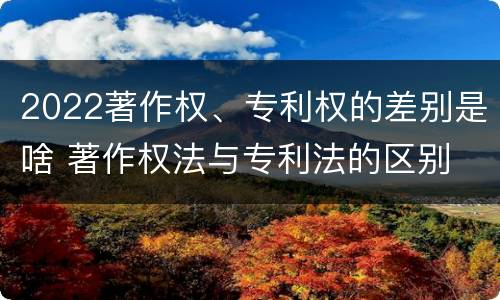 2022著作权、专利权的差别是啥 著作权法与专利法的区别