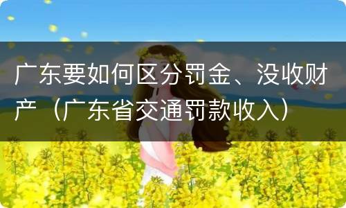 广东要如何区分罚金、没收财产（广东省交通罚款收入）