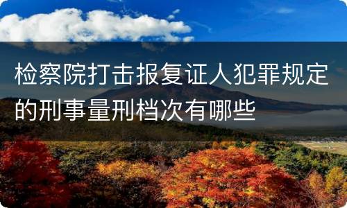 检察院打击报复证人犯罪规定的刑事量刑档次有哪些