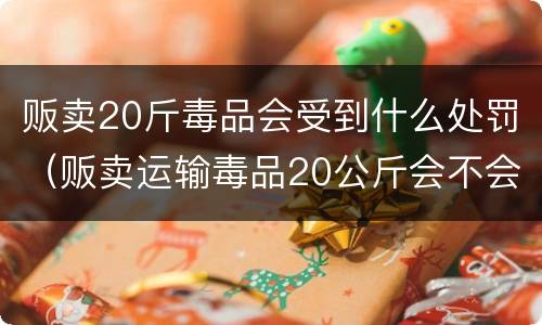 贩卖20斤毒品会受到什么处罚（贩卖运输毒品20公斤会不会判死刑吗）