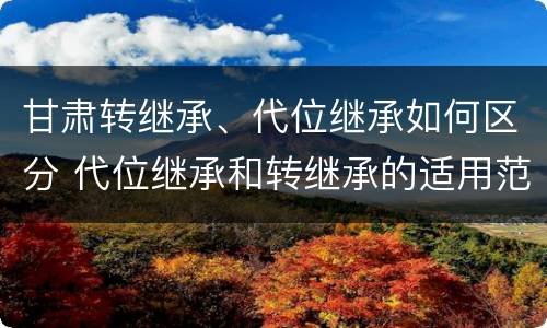 甘肃转继承、代位继承如何区分 代位继承和转继承的适用范围