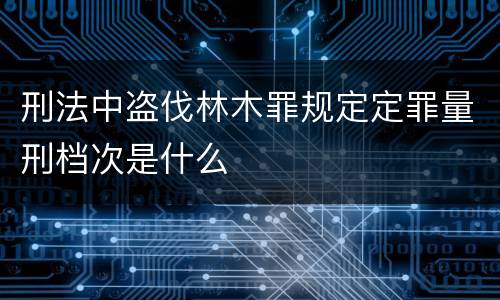 刑法中盗伐林木罪规定定罪量刑档次是什么