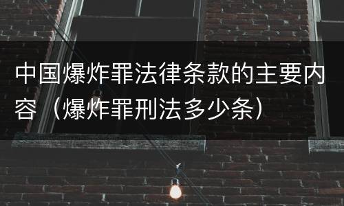 中国爆炸罪法律条款的主要内容（爆炸罪刑法多少条）