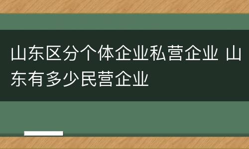山东区分个体企业私营企业 山东有多少民营企业
