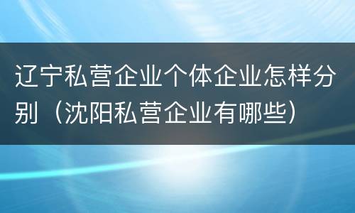 辽宁私营企业个体企业怎样分别（沈阳私营企业有哪些）