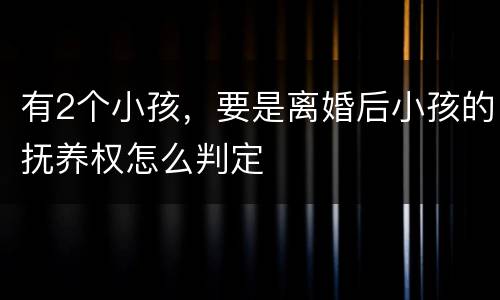 有2个小孩，要是离婚后小孩的抚养权怎么判定