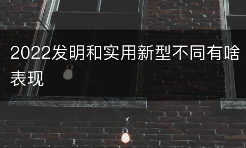2022发明和实用新型不同有啥表现