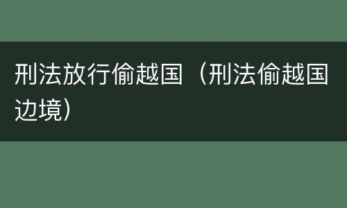 刑法放行偷越国（刑法偷越国边境）