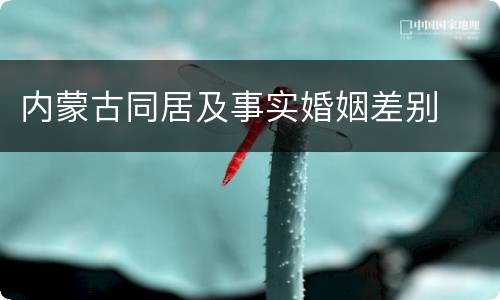 内蒙古同居及事实婚姻差别