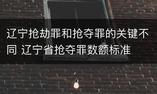 辽宁抢劫罪和抢夺罪的关键不同 辽宁省抢夺罪数额标准