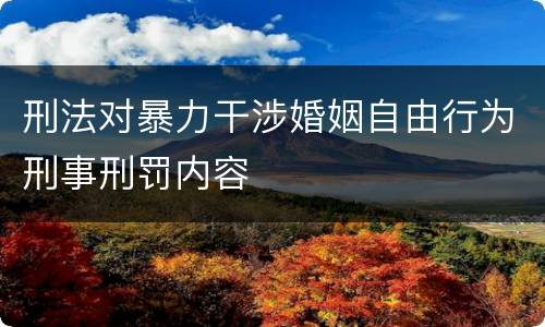 刑法对暴力干涉婚姻自由行为刑事刑罚内容