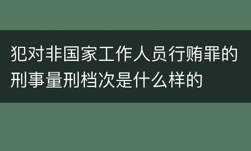 犯对非国家工作人员行贿罪的刑事量刑档次是什么样的