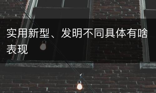 实用新型、发明不同具体有啥表现